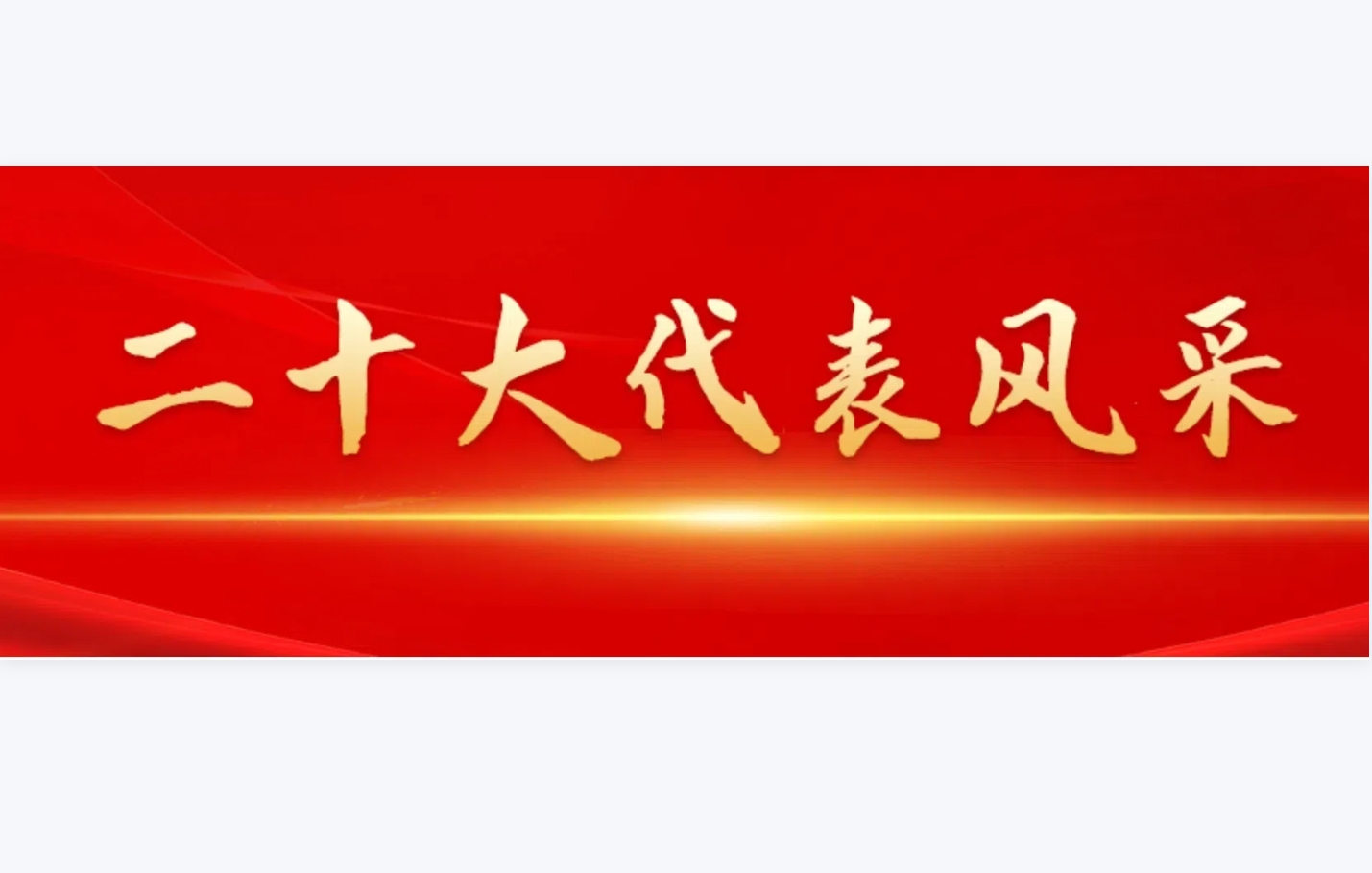 二十大代表風(fēng)采